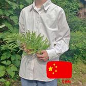 先森也迷鹿头像