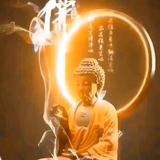 优雅帆船2Y1头像