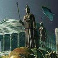 科级冲浪板头像