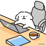 idkwmnsb的个人资料头像