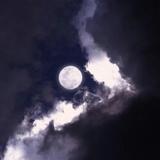汤达人s27头像