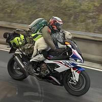 机车界的铲屎官头像