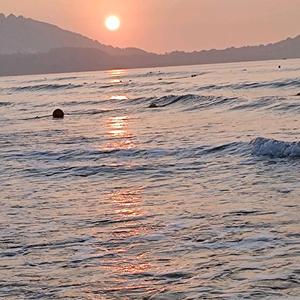 粽子叶头像