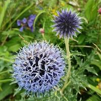 很善良很善良头像