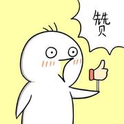 wz156700的个人资料头像
