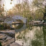 早点睡ilh头像