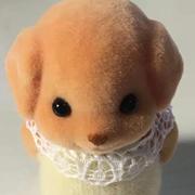 胡萝卜505的个人资料头像