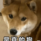尧尧甄选天天好物头像