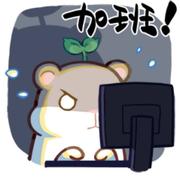 码零鼠的个人资料头像