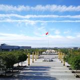 伯纳乌小弟头像