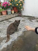 人间凶狗的个人资料头像