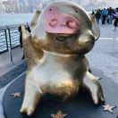 陈泽豪的个人资料头像