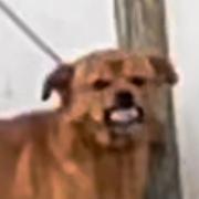 JYJ的个人资料头像