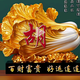 老胡拍车头像