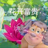 初逢江南雨937头像