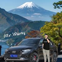 沉着清风dYH头像