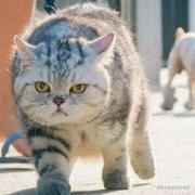 40404的个人资料头像