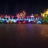 问心9977头像