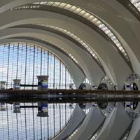 用户遥远的理想乡头像