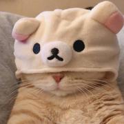 远星161的个人资料头像