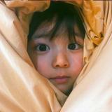再见理想727头像