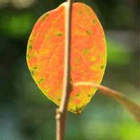 零食家居分享馆头像