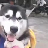 一米阳光66347头像