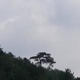 女司机1024头像