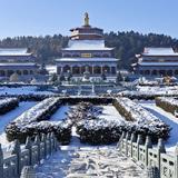 太行情082259350876头像