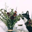 hhhhrc65811的个人资料头像