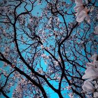 一个小小小逗号头像