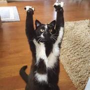 韩俊枫的个人资料头像