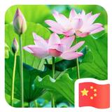 kelly627头像