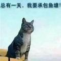马哈嘎啦啊头像