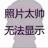 骑着木马的骑士头像
