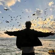 章进的个人资料头像