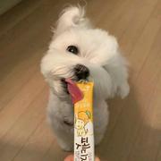 卑微小王511的个人资料头像