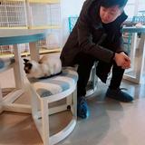 䒕哇噻头像