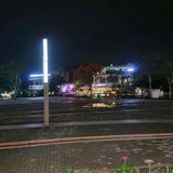 番茄105015482092头像