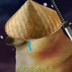 鸽子碎略头像