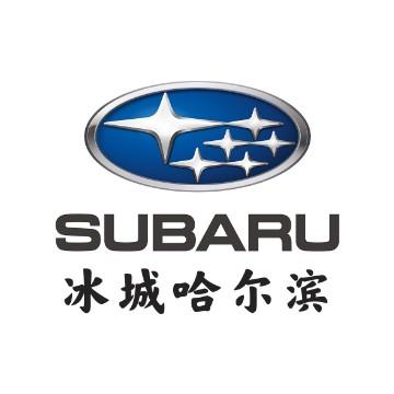 斯巴鲁在哈尔滨头像