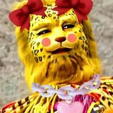 幸福郑少头像