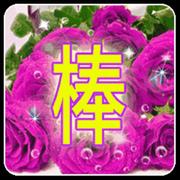 老油条擦边球的个人资料头像