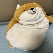 小小花生的个人资料头像