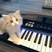 用户4421567594255的个人资料头像