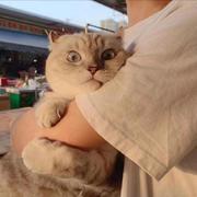 书荀彧OvO的个人资料头像