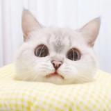 用户2938409520015头像