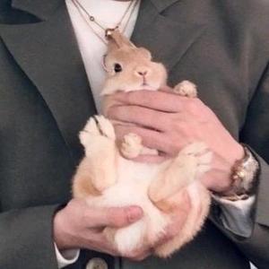 何必头像