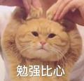 啊啊啊啊c啊头像