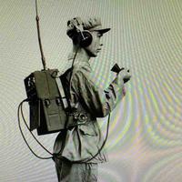 猪猪侠9515019头像